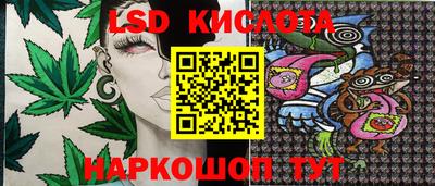 прущие грибы Кунгур