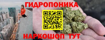 прущие грибы Кунгур